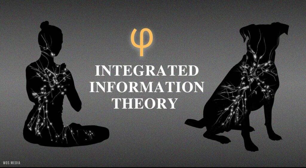 integrated information theory